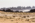 Arabie Saoudite. Madâin Sâlih. Mission archéologique franco-saoudienne sur le site de l'antique cité nabatéenne de Hégra. Au 2nd plan  le massif rocheux (grès) Jabal Ithlib qui abrite le sanctuaire religieux Nabatéens