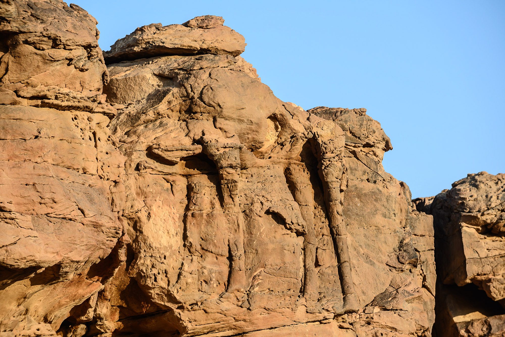 Arabie Saoudite, Al Jawf, Sakaka, Camel Site. Chameau  sculpté dans le Grès